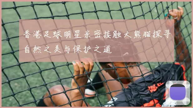 香港足球明星亲密接触大熊猫探寻自然之美与保护之道
