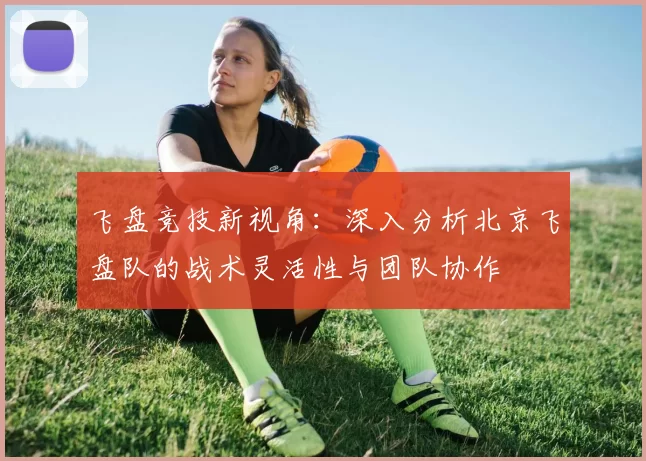 飞盘竞技新视角：深入分析北京飞盘队的战术灵活性与团队协作
