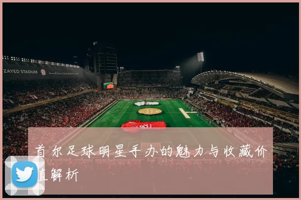 首尔足球明星手办的魅力与收藏价值解析