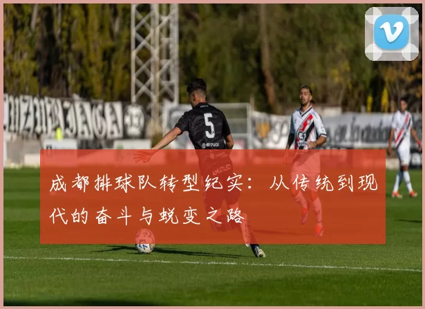成都排球队转型纪实：从传统到现代的奋斗与蜕变之路