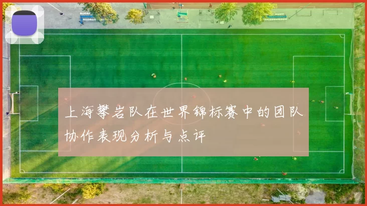 上海攀岩队在世界锦标赛中的团队协作表现分析与点评