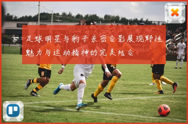足球明星与豹子亲密合影展现野性魅力与运动精神的完美结合